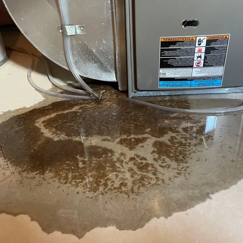 Pipe Burst and Leak Restoration in Skowhegan, ME