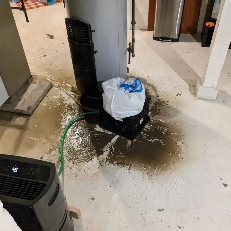 Sewage Backup Cleanup Service in Skowhegan, ME